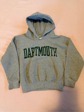 Gildan Gray Hoodie with Green Chest Lettering